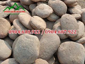 Soi-da-san-vuon-Khoang-San-Da-Voi-Ha-Nam (2)