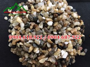 Soi-da-san-vuon-khoang-san-da-voi-ha-nam (10)