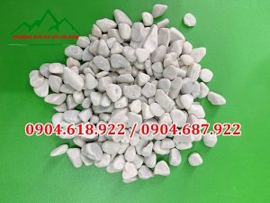 Soi-da-san-vuon-khoang-san-da-voi-ha-nam (6)