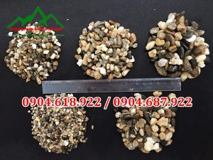 Soi-da-san-vuon-khoang-san-da-voi-ha-nam (9)