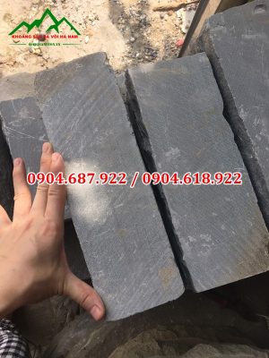 đá cây sa thạch