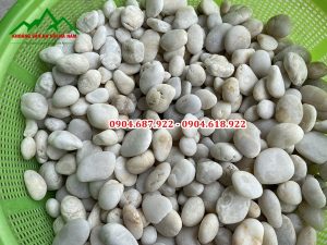 Sỏi trắng trang trí