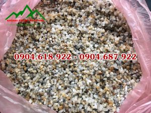 Soi-cat-rai-nen-be-ca (1)