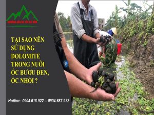 Dolomite-nuoi-oc (2)