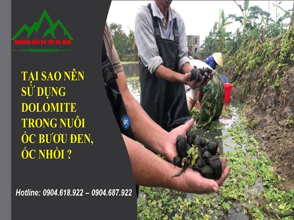 Dolomite-nuoi-oc (2)