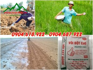 Voi-khu-trung-dat (3)