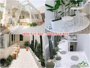 Sỏi trắng quán cafe Hà Nội