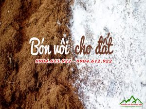 vôi giảm độ chua đất - DVHN