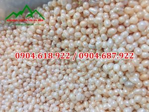 cong-dung-cua-ngoc-trai-tho-tu-nhien (1)