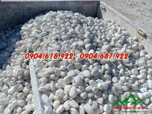 mua-soi-trang-trang-tri-o-dau (1)