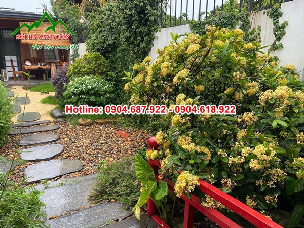 mẫu lối đi sân vườn đẹp