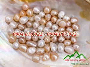 ngoc-trai-tho-va-nhung-cong-dung-ma-ban-chua-biet (1)