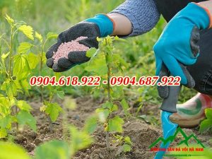 cong-dung-cua-voi-dolomite-trong-nganh-san-xuat-phan-bon (15)