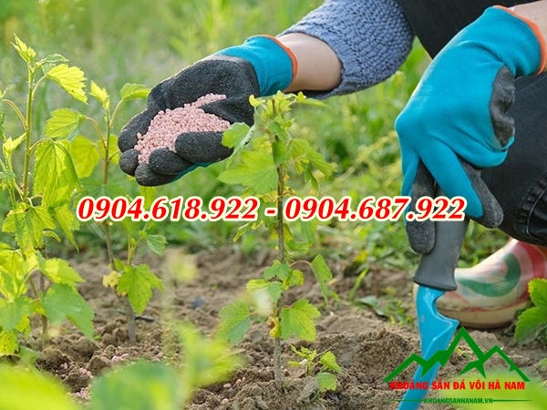 cong-dung-cua-voi-dolomite-trong-nganh-san-xuat-phan-bon (15)