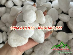 ban-soi-trang-gia-re-tai-ha-noi (1)