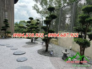 kho-ban-soi-rai-san-vuon-gia-re-tai-ha-noi (1)