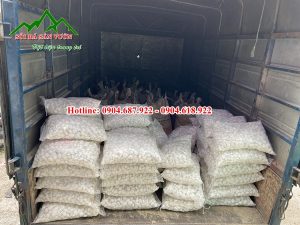 Nhà cung cấp sỏi trắng giá tốt