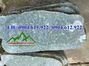 da-buoc-dao-xanh-reu