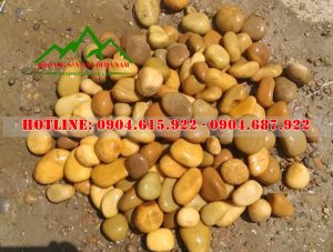 soi-vang-tu-nhien-trang-tri