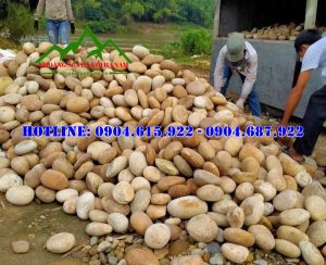 soi-da-cuoi-tu-nhien-trang-tri