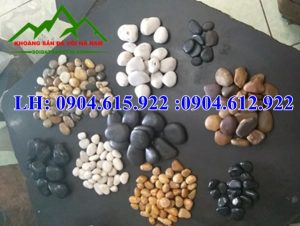 soi-trang-tri-nha-vuon