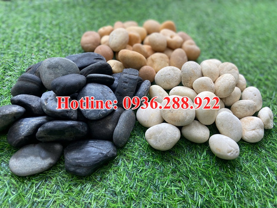 tong-kho-ban-soi-trang-tri-tieu-canh