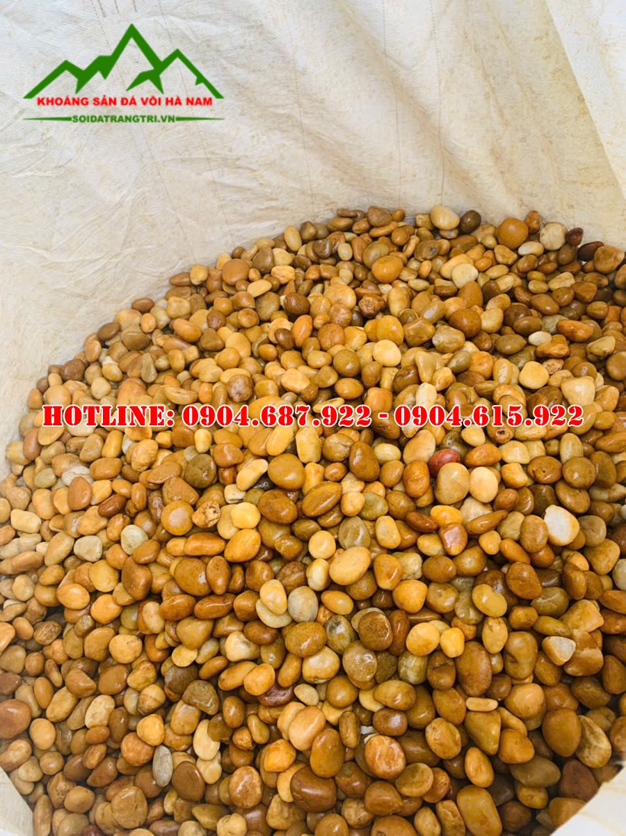 báo giá sỏi cuội vàng