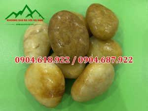 Soi-da-san-vuon-khoang-sa-da-voi-ha-nam (2)