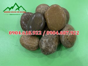 Soi-da-san-vuon-khoang-sa-da-voi-ha-nam (2)