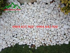 bán sỏi trắng tự nhiên