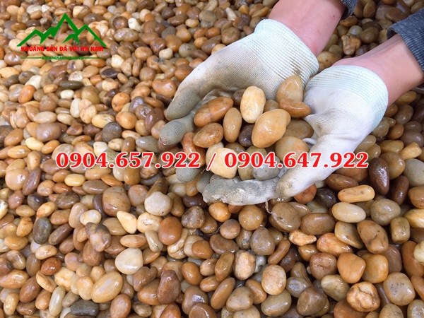 cung cấp sỏi vàng tự nhiên