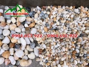 sỏi biển tự nhiên