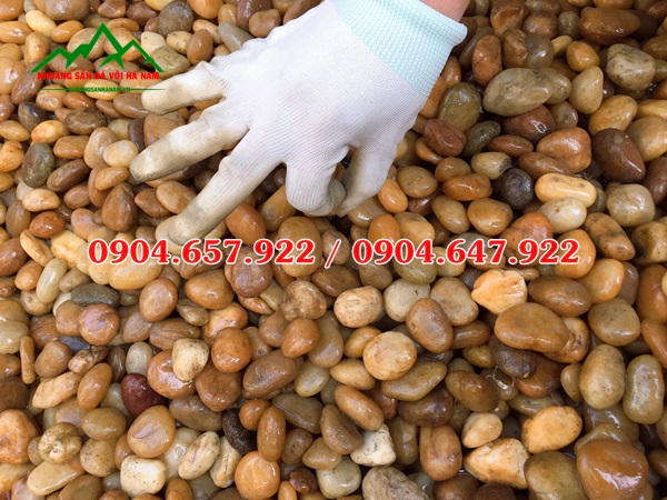 bán sỏi vàng tự nhiên