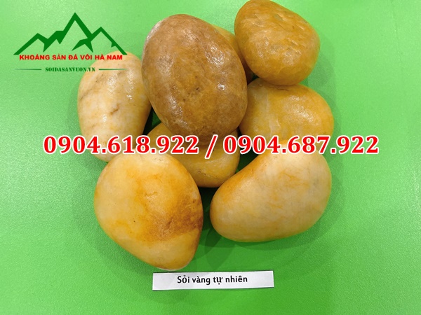 sỏi vàng tự nhiên