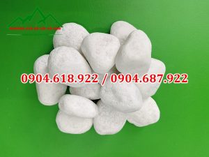 Soi-da-san-vuon-khoang-san-da-voi-ha-nam (1)