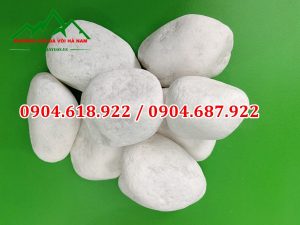 Soi-da-san-vuon-khoang-san-da-voi-ha-nam (1)