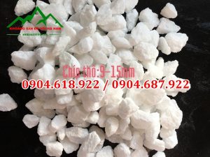 Soi-da-san-vuon-khoang-san-da-voi-ha-nam (12)