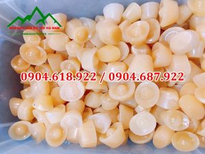 Thoi-vang-ngoc-hoang-long (2)