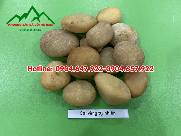 giá sỏi trang trí sân vườn