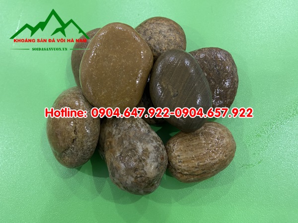 giá sỏi trang trí sân vườn