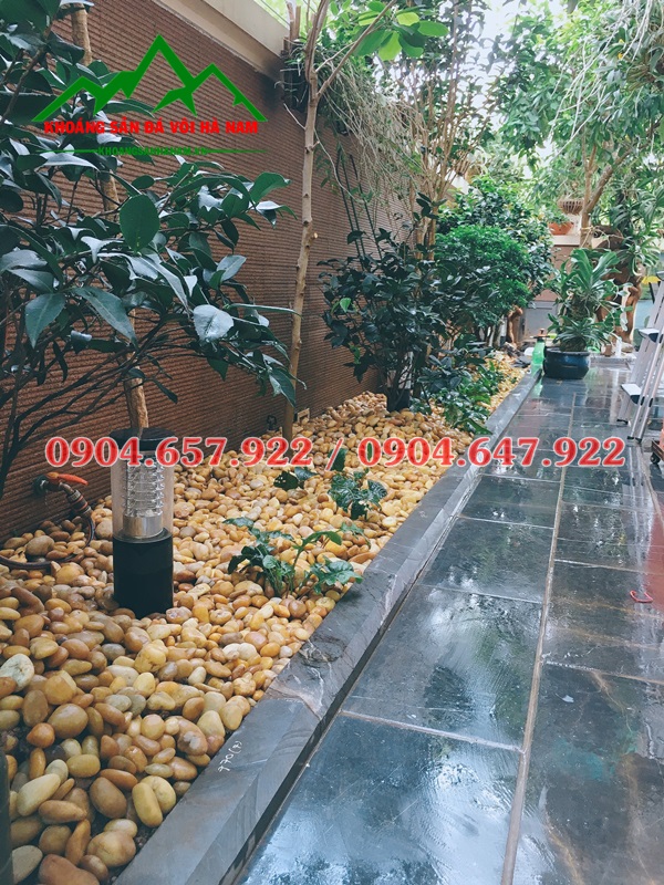 bán sỏi vàng tự nhiên hà nội