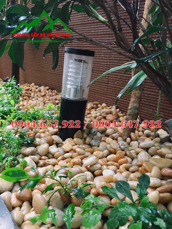 bán sỏi vàng tự nhiên