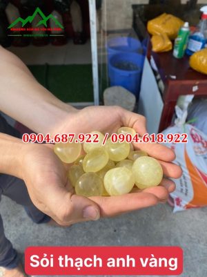 sỏi thạc anh vàng