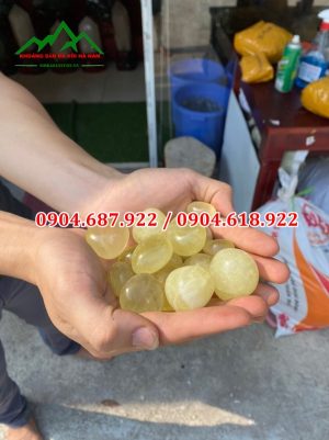 Sỏi thạch anh vàng