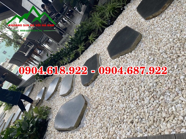 Soi-tu-nhien-trang-tri-san-vuon (3)