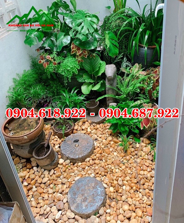 Soi-tu-nhien-trang-tri-san-vuon (4)