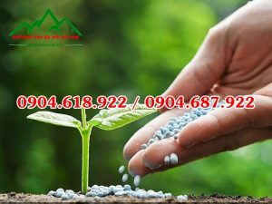 Bột màu sản xuất phân bón