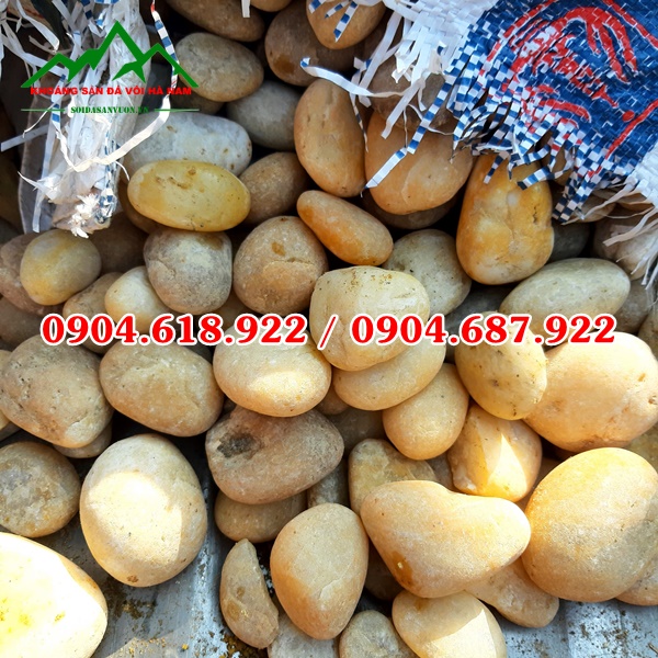 Soi-cuoi-vang-tu-nhien (2)