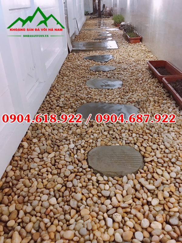 Soi-cuoi-vang-tu-nhien (5)