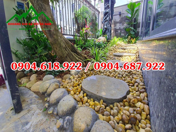 Soi-cuoi-vang-tu-nhien (7)